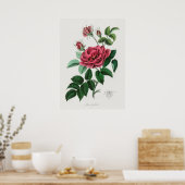 ヴィンテージ花イラストレーション ポスター (キッチン)