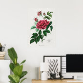 ヴィンテージ花イラストレーション ポスター (ホームオフィス)