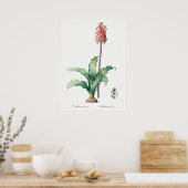 ヴィンテージ花イラストレーション ポスター (キッチン)