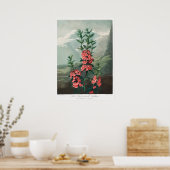 ヴィンテージ花イラストレーション ポスター (キッチン)