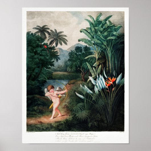 ヴィンテージ花イラストレーション ポスター (正面)