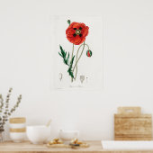 ヴィンテージ花イラストレーション ポスター (キッチン)