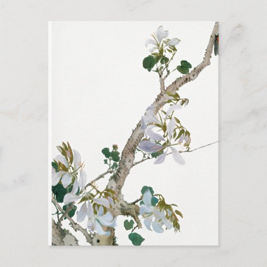 ヴィンテージ花イラストレーション ポストカード (正面)