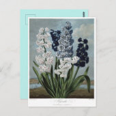 ヴィンテージ花イラストレーション ポストカード (正面/裏面)