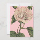 ヴィンテージ花イラストレーション 招待状 (裏面)