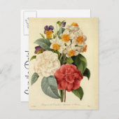 ヴィンテージ花カネリアと水仙レドゥート 案内ポストカード (正面/裏面)