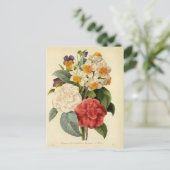 ヴィンテージ花カネリアと水仙レドゥート 案内ポストカード (スタンド正面)