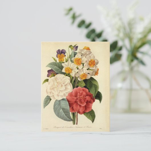 ヴィンテージ花カネリアと水仙レドゥート 案内ポストカード (スタンド正面)