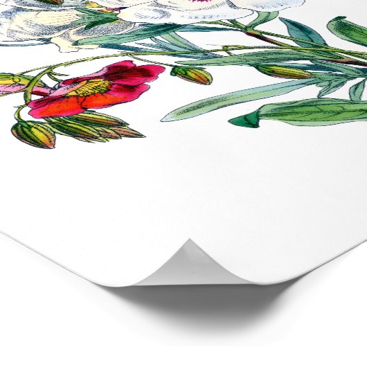 ヴィンテージ花束水彩 ポスター (角)