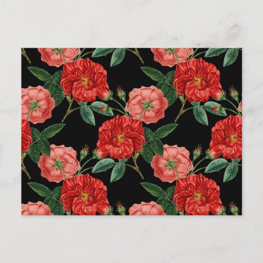 ヴィンテージ花柄、美しい赤い花のポスト ポストカード (正面)