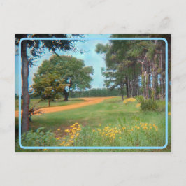 ヴィンテージ花畑はがき ポストカード