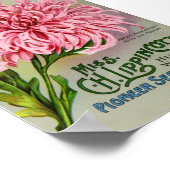 ヴィンテージ花種パケット、1911年頃 ポスター (角)