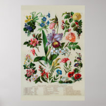 ヴィンテージ花素朴フローラ