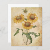 ヴィンテージ花老水色スクラップブック紙 (正面/裏面)