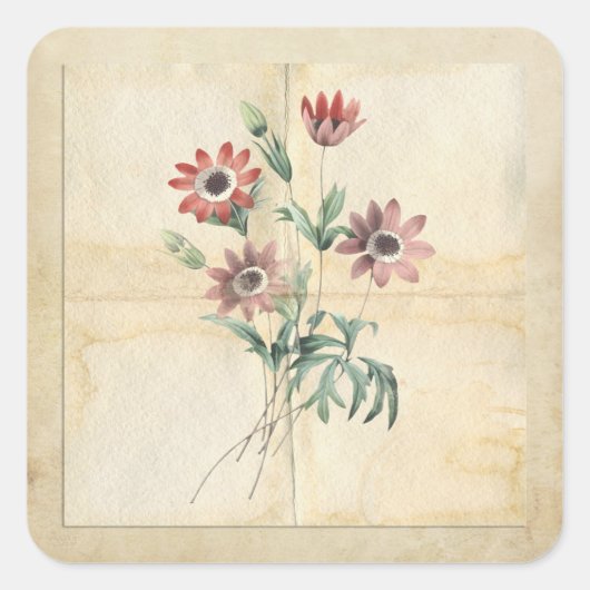 ヴィンテージ花襟スクラップブック装飾 スクエアシール (正面)