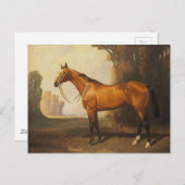 ヴィンテージ茶色のサラブレッド馬 ポストカード (正面/裏面)