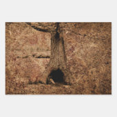 ヴィンテージ茶色の国素朴のグランジ木のテクスチャ ラッピングペーパーシート (正面2)