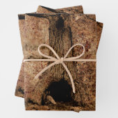 ヴィンテージ茶色の国素朴のグランジ木のテクスチャ ラッピングペーパーシート (インサイチュ)