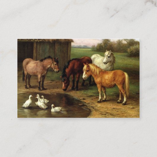 ヴィンテージ茶色の白馬とアヒルの家畜 名刺 (裏面)
