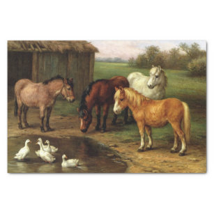 ヴィンテージ茶色の白馬とアヒルの家畜 薄葉紙