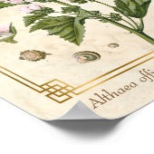 ヴィンテージ草木マシュマロ植物芸術 ポスター (角)