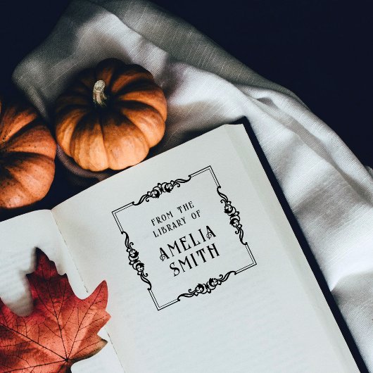 ヴィンテージ華美の図書室からの枠 ラバースタンプ