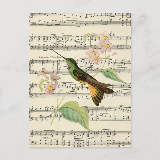 ヴィンテージ葉書の植物性ハミングバード音楽 ポストカード (正面)