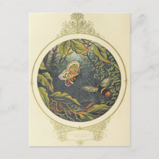 ヴィンテージ葉書 ポストカード