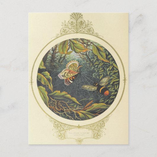 ヴィンテージ葉書 ポストカード (正面)