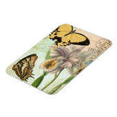 ヴィンテージ葉書 マグネット (左側)