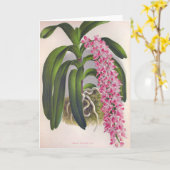 ヴィンテージ薄紫オーキッドアエリーズフィールドインジリンデニア カード (黄色い花)