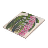 ヴィンテージ薄紫オーキッドアエリーズフィールドインジリンデニア タイル (側面)