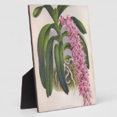 ヴィンテージ薄紫オーキッドアエリーズフィールドインジリンデニア フォトプラーク (側面)