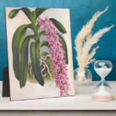 ヴィンテージ薄紫オーキッドアエリーズフィールドインジリンデニア フォトプラーク (側面)