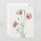 ヴィンテージ薄紫マリポサフラワーポストカード ポストカード (正面/裏面)