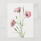 ヴィンテージ薄紫マリポサフラワーポストカード ポストカード (正面)