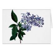 ヴィンテージ薄紫 (正面横)