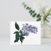 ヴィンテージ薄紫 ポストカード (スタンド正面)