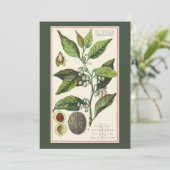 ヴィンテージ薬草スパイス、ナツメグ植物パーティー 招待状 (スタンド正面)