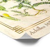 ヴィンテージ薬草ヤロー植物園 ポスター (角)