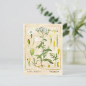 ヴィンテージ薬草ヤロー植物園 ポストカード (スタンド正面)