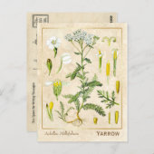 ヴィンテージ薬草ヤロー植物園 ポストカード (正面/裏面)