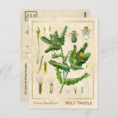 ヴィンテージ薬草賛美植物学 ポストカード (正面/裏面)