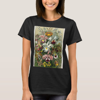 ヴィンテージ蘭の花の図1904 Tシャツ