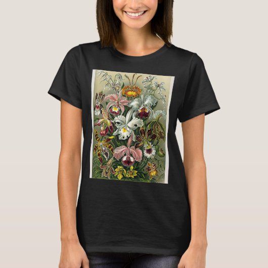 ヴィンテージ蘭の花の図1904 Tシャツ (正面)