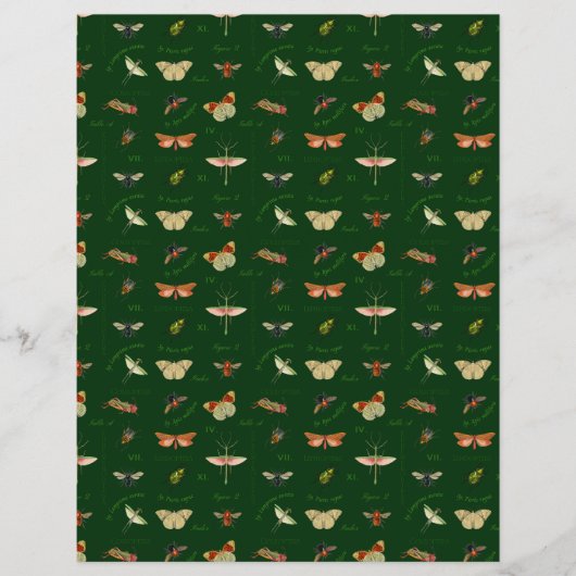 ヴィンテージ虫スクラップブック紙フォレストグリーン (正面)