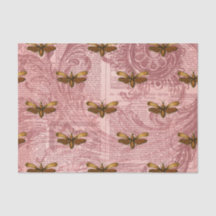 ヴィンテージ虫性前科