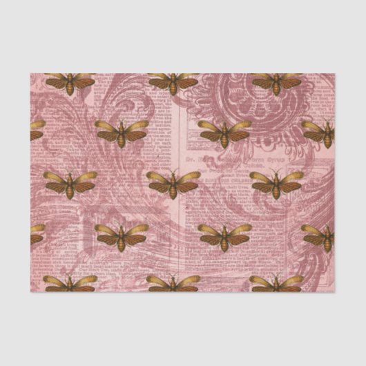 ヴィンテージ虫性前科 薄葉紙 (正面)