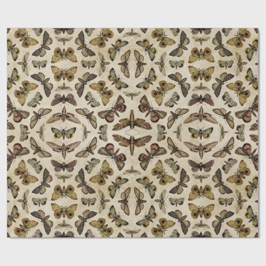 ヴィンテージ蛾ラッピング紙 ラッピングペーパー (フラット)