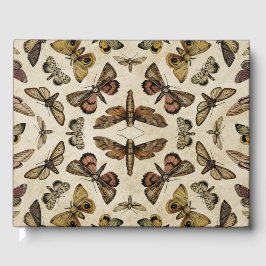 ヴィンテージ蛾 ゲストブック